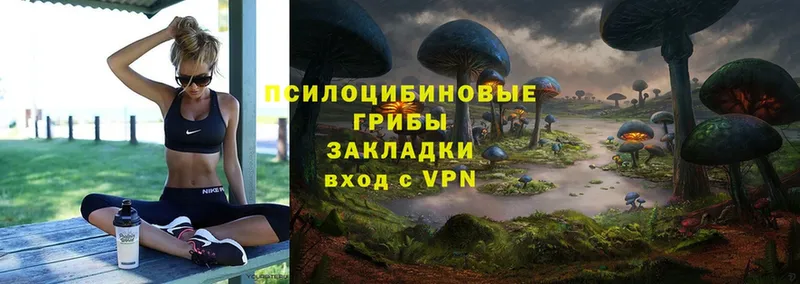 Псилоцибиновые грибы Psilocybe  где продают   Североуральск 